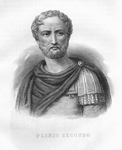 A later artist’s depiction of Pliny the Elder, not drawn from life, 23–79.