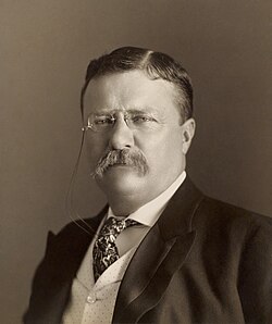 Theodore Roosevelt, 1858–1919.