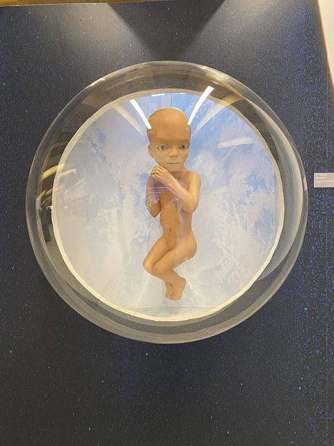A figure from 2001 A Space Odyssey